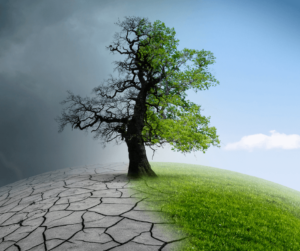 article post 4 1